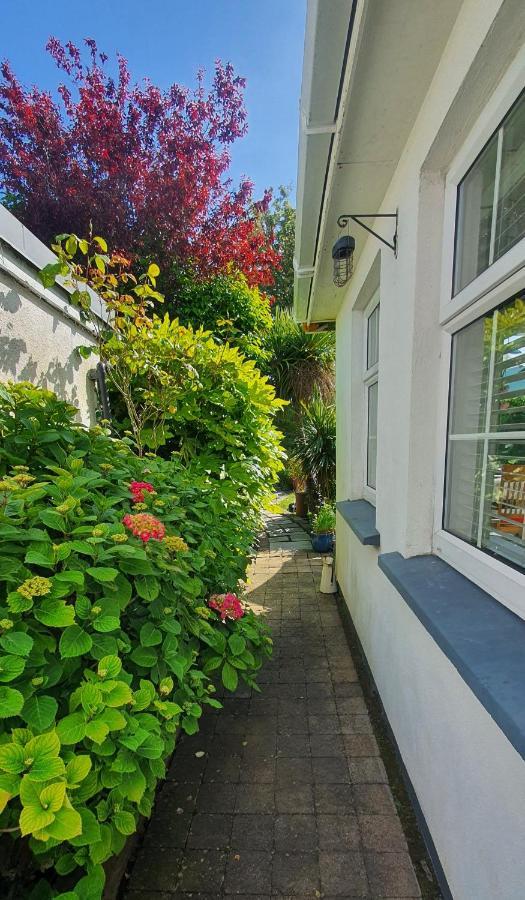 124 ,Castlelawn Heights, Headford Road Galway Homestay Luaran gambar