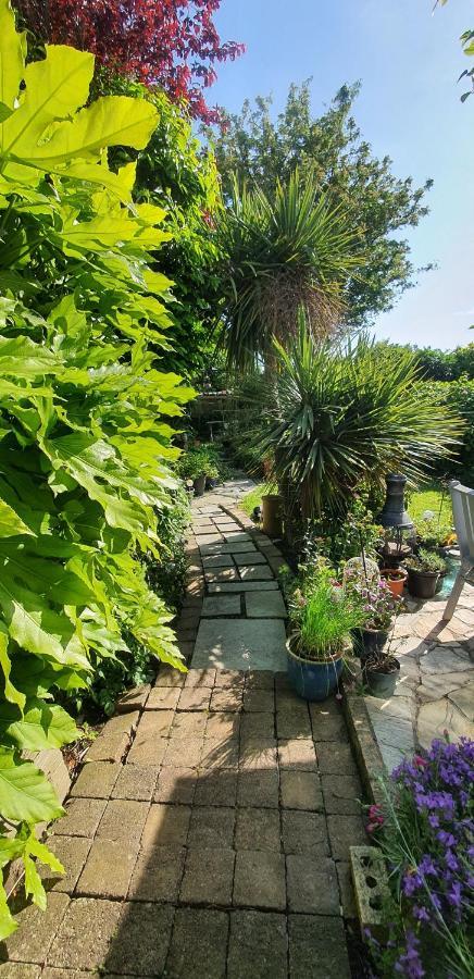 124 ,Castlelawn Heights, Headford Road Galway Homestay Luaran gambar